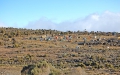 Tanzania-Experience.com043
