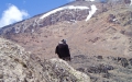 Tanzania-Experience.com050