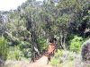 Tanzania-Experience.com054