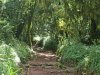 Tanzania-Experience.com067