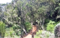Tanzania-Experience.com054