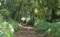 Tanzania-Experience.com067