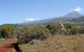 Tanzania-Experience.com068