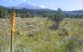 Tanzania-Experience.com053