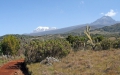 Tanzania-Experience.com068
